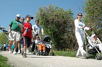 NAMIWalk07 (247) 